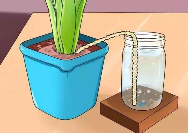 自制万能自动浇花神器,自动浇花神器自制