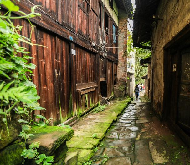 插秧端午节,包粽子赛龙舟端午节