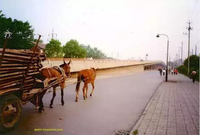 谁还记得以前的天津的样子,1997年的天津老照片