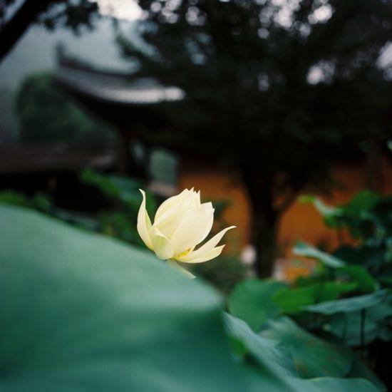 诗词写作36种技法,诗词技法36种