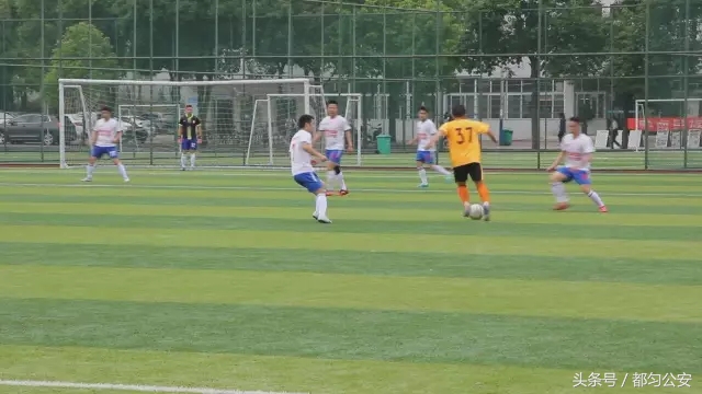 绿茵场上青春飞扬,绿茵场上驰骋飞扬