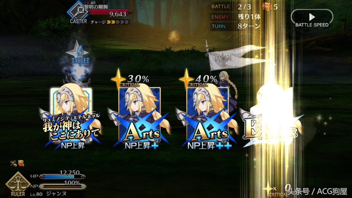 fgo贞德宝具强化本,fgo贞德宝具释放