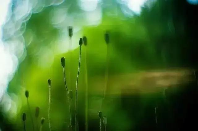 索尼大三元镜头一二代有什么区别,索尼微单小三元镜头