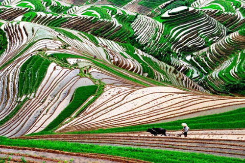 <html>
<head><title>502BadGateway</title></head>
<body>
<center><h1>502BadGateway</h1></center>
<hr><center>nginx</center>
</body>
</html>
<!--apaddingtodisableMSIEandChromefriendlyerrorpage-->
<!--apaddingtodisableMSIEandChromefriendlyerrorpage-->
<!--apaddingtodisableMSIEandChromefriendlyerrorpage-->
<!--apaddingtodisableMSIEandChromefriendlyerrorpage-->
<!--apaddingtodisableMSIEandChromefriendlyerrorpage-->
<!--apaddingtodisableMSIEandChromefriendlyerrorpage-->
