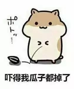 国内航班持有护照可以坐飞机吗,用护照可以乘坐国内航班吗