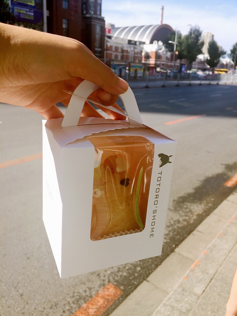 宫崎骏龙猫真实场景,龙猫宫崎骏背后的秘密