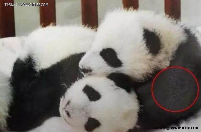 到手的照片怎么防褪色,干货分享如何拍出好看的照片