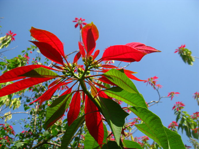记录一下和癌症抗争的日子,与晚期肺癌抗争4年