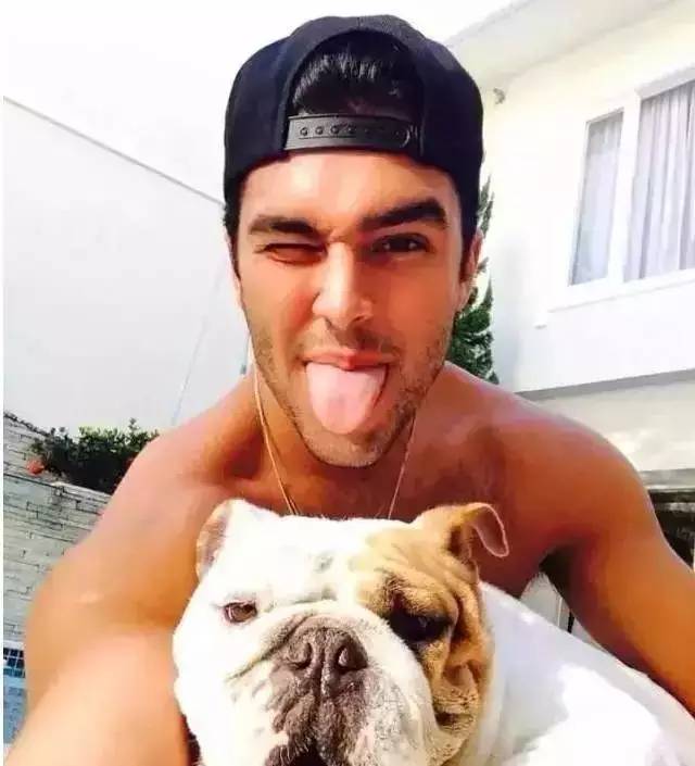 什么人不适合养英牛,都说养宠物的人情商高温柔体贴