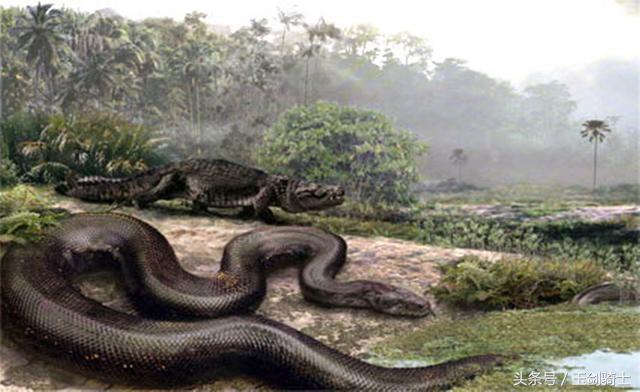 世界上最厉害的动物平头哥,平头哥盘点十大速度最快的动物