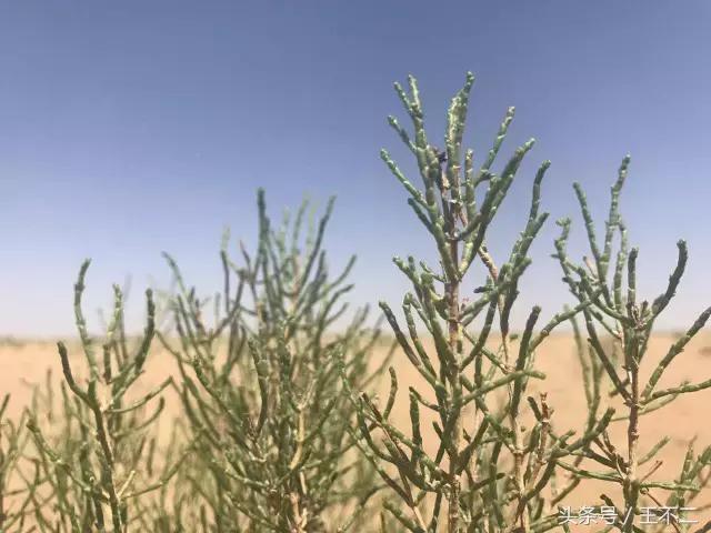 支付宝你神经病呀，再这样下去友谊的小船说翻就翻啦