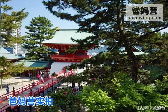 带娃出海邮轮行旅途soeasy,带小孩坐游轮旅行需要带什么