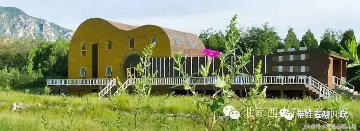 一次薰衣草之旅是如何变成采摘农家乐的?