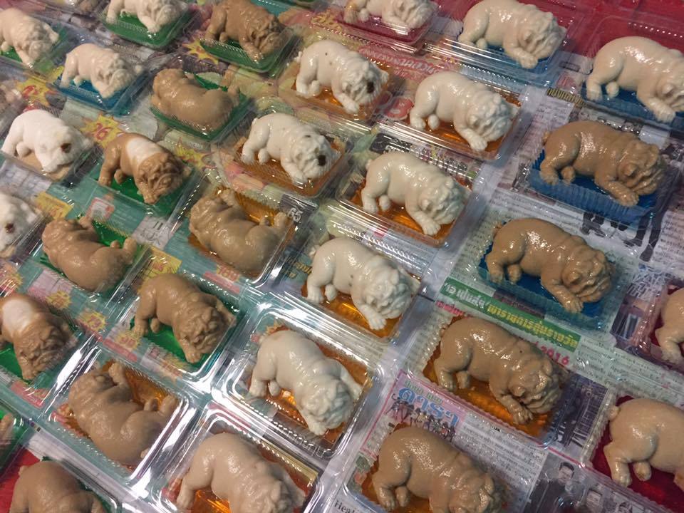 果冻沙皮狗,沙皮狗果冻