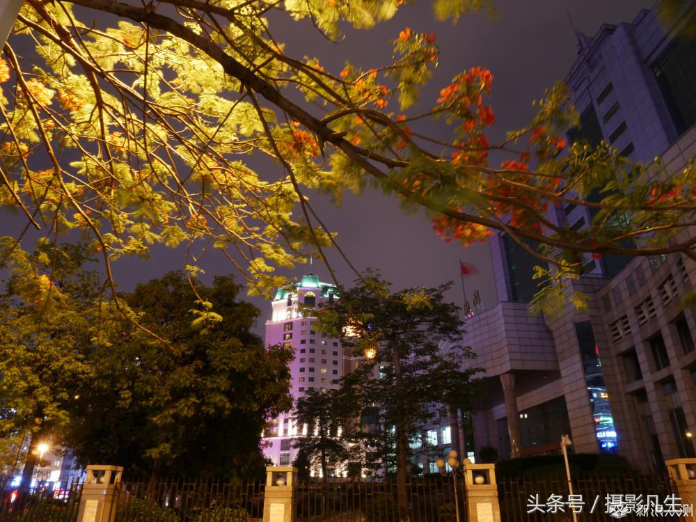 松下gf9可以自拍吗,带女朋友旅游拍照相机推荐