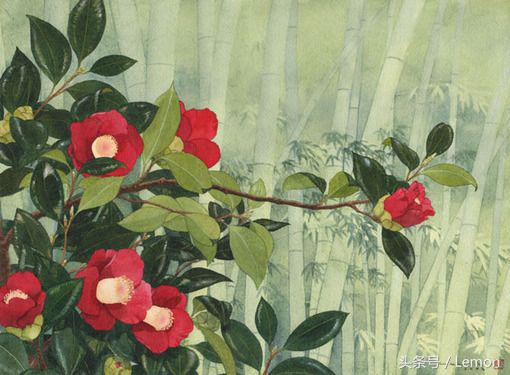 懒算是天性？也难怪老天爷嫌弃你！