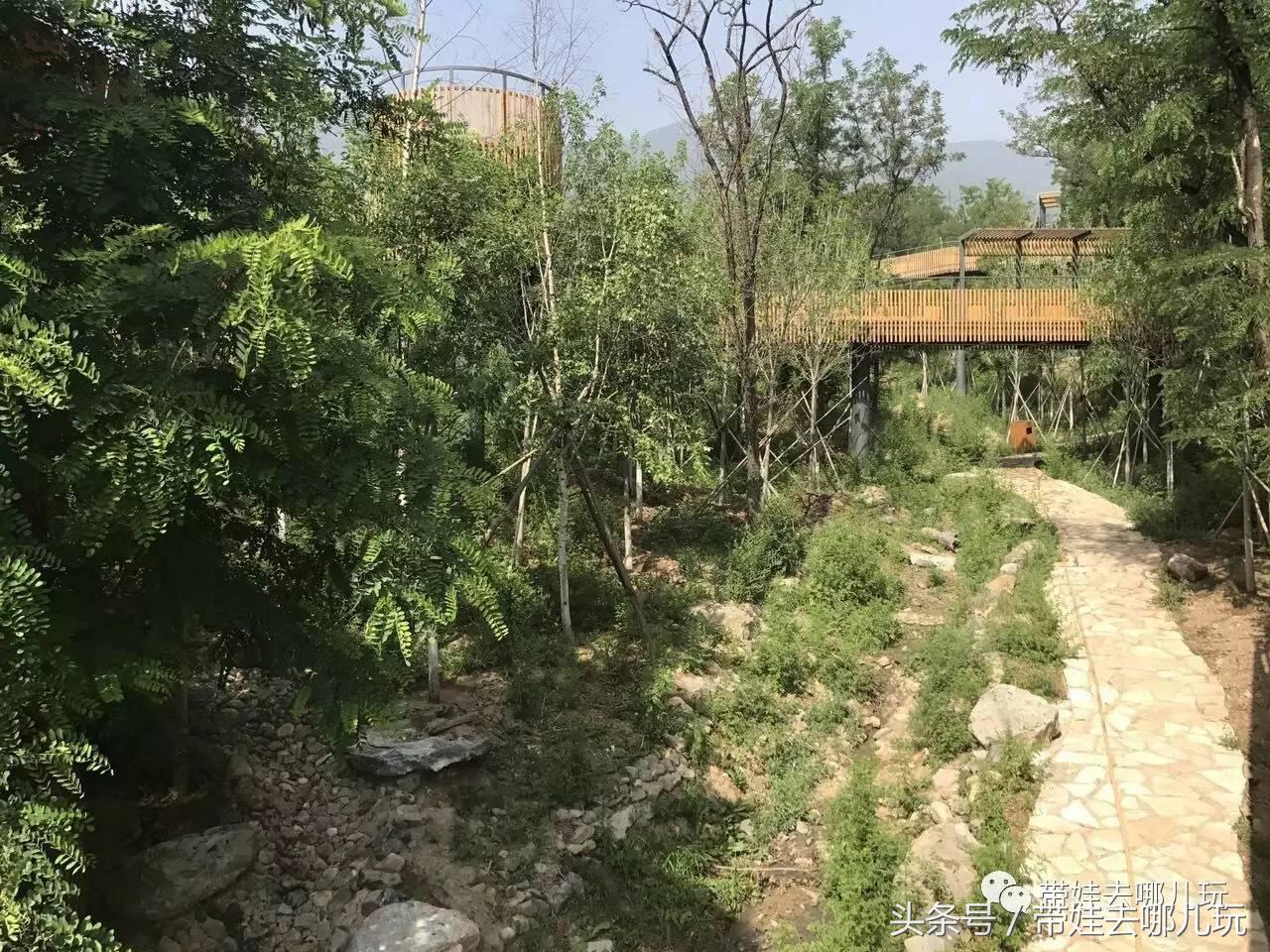 一次薰衣草之旅是如何变成采摘农家乐的?