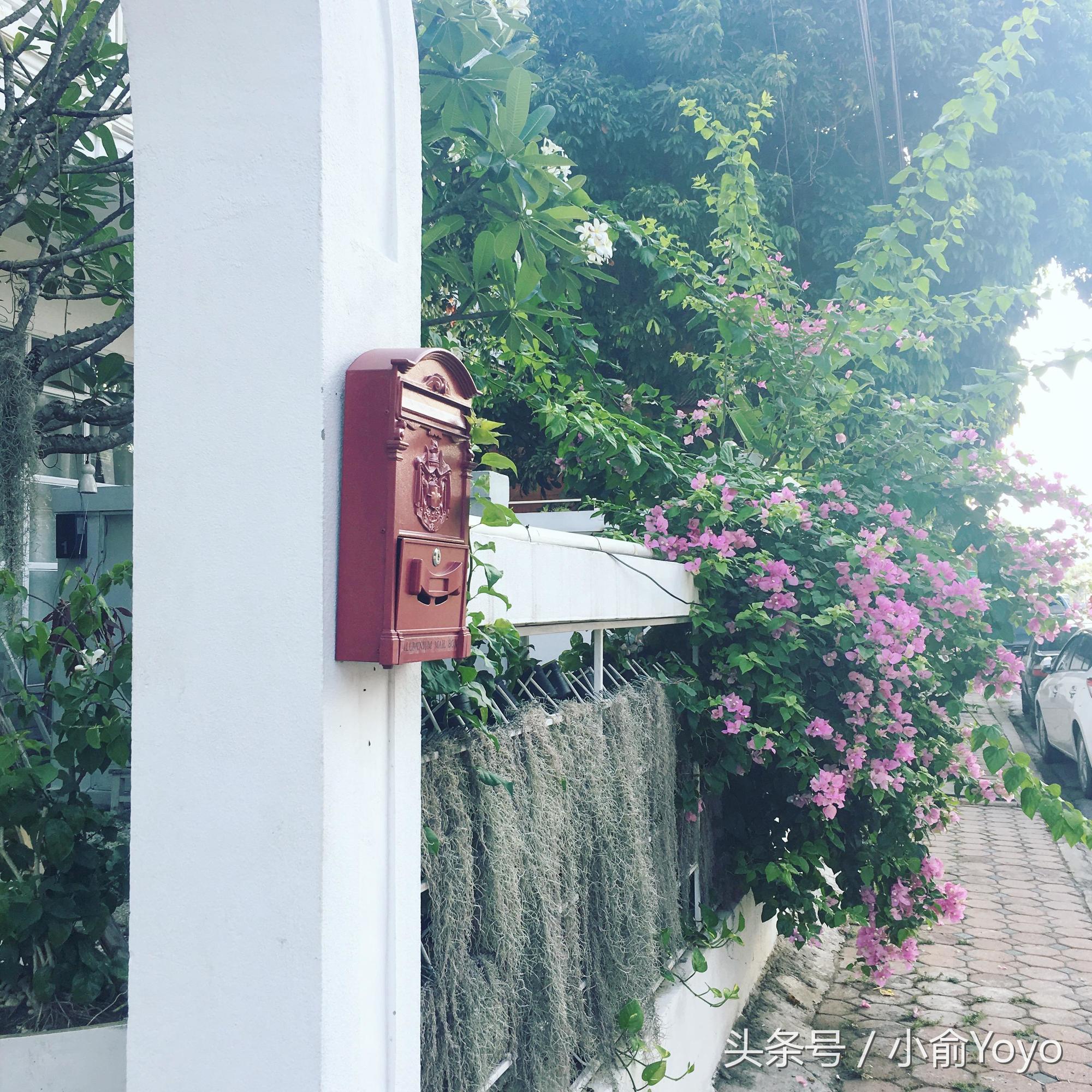 清迈为什么这么多韩国人,清迈为什么吸引人