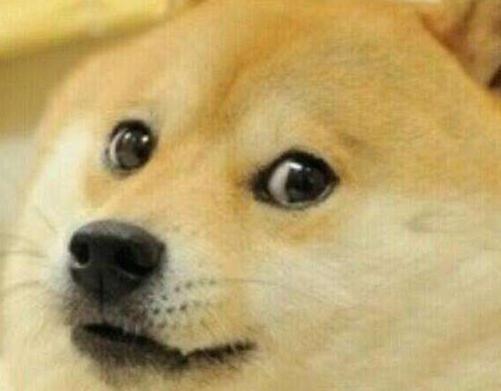 开车撞死狗了要赔偿吗,机动车撞死狗要赔钱吗