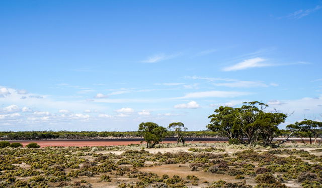 澳洲｜有人在澳大利亚住了一辈子，也没有听说过这样的生活方式
