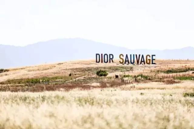 让世界知道你最In！时装精必去高定旅行之地