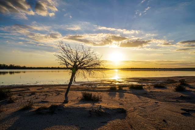 澳洲｜有人在澳大利亚住了一辈子，也没有听说过这样的生活方式