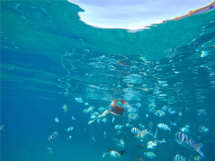 骨灰级探险视频,水上运动场夏威夷maui岛浮潜