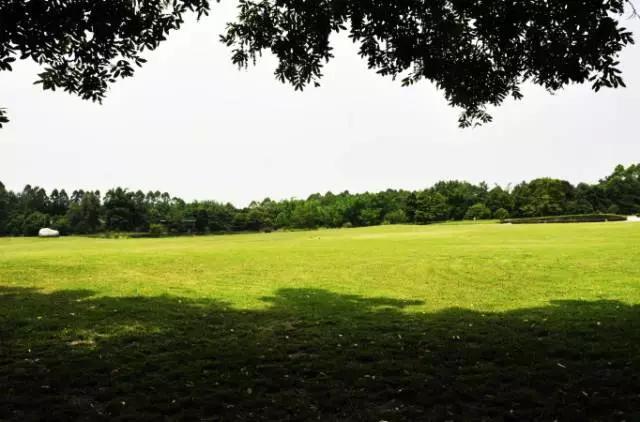 成都周边免费森林自然景点,成都森林避暑好去处