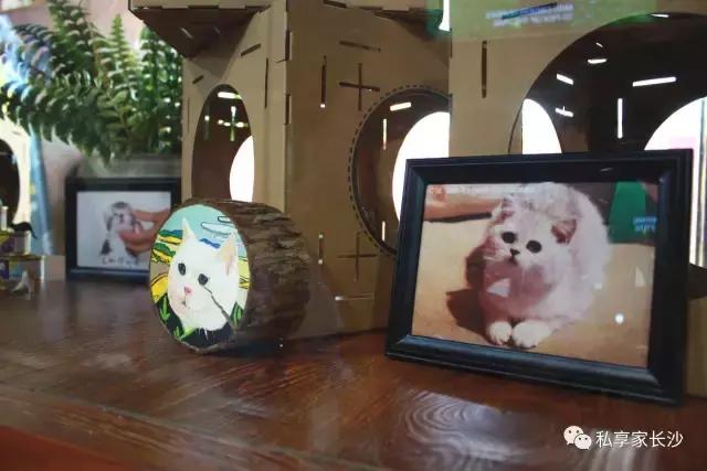 论“在餐厅一边看mao片，一边撸”，是一种什么样的体验？