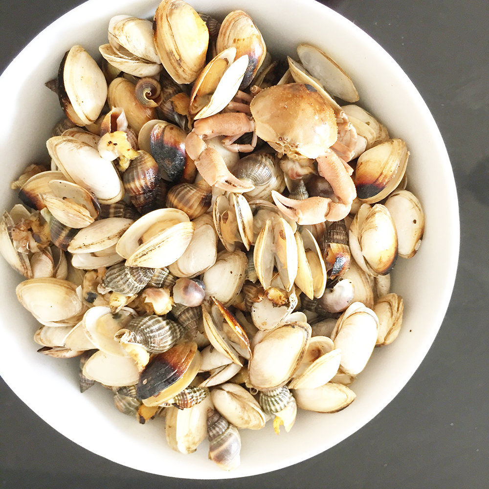 经典海鲜摄影图片,鲜活海鲜摄影技巧