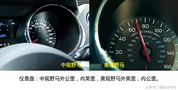 没有奔跑在草原的野马，成了男人心口的朱砂痣