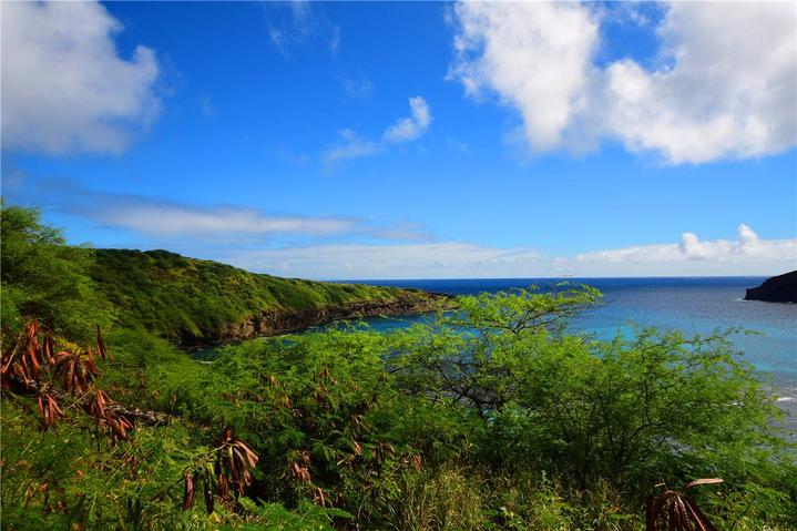 骨灰级探险视频,水上运动场夏威夷maui岛浮潜