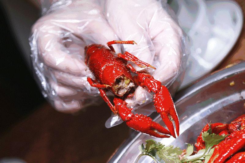 广州小龙虾视频,广州哪里买鲜活小龙虾