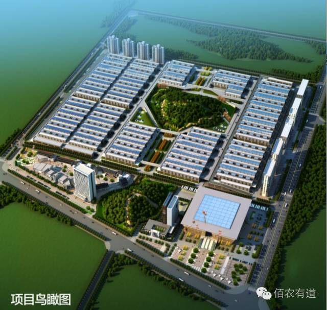 厉害了我的哥网易,厉害了我的哥素材