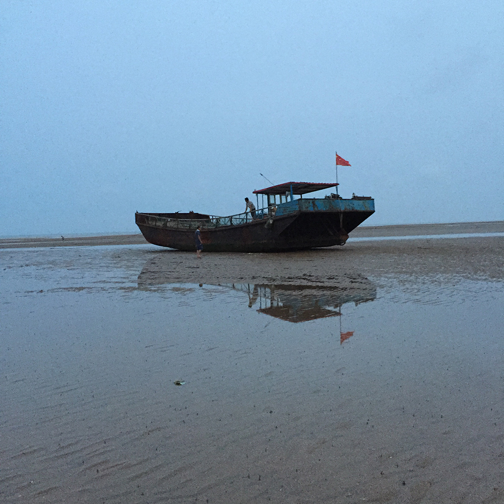 经典海鲜摄影图片,鲜活海鲜摄影技巧
