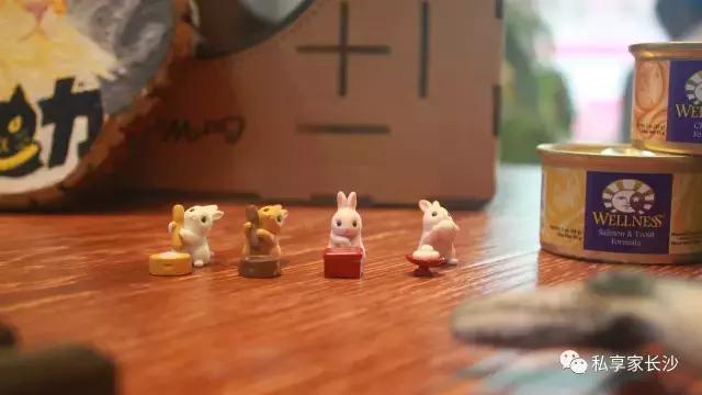 论“在餐厅一边看mao片，一边撸”，是一种什么样的体验？