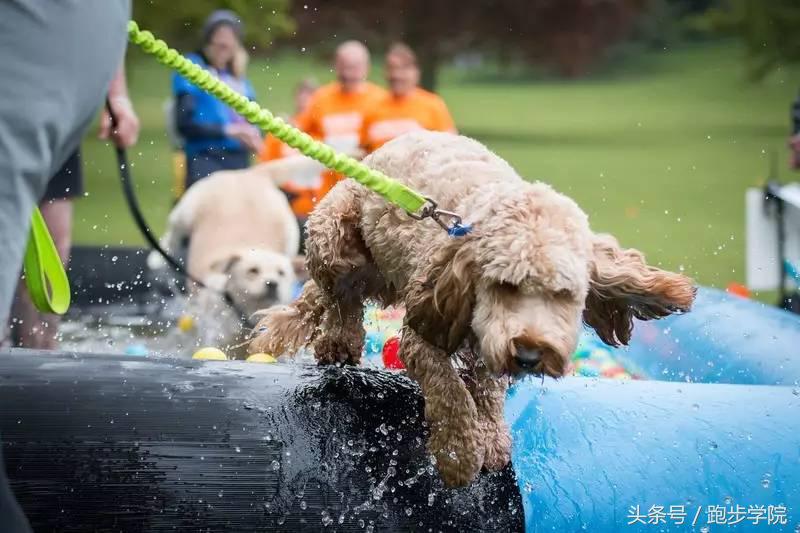 十大跑步黄金定律,跑步21法则