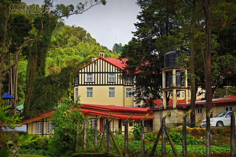 印度洋岛国上的小英格兰，浓浓英伦风，凉爽避暑地！