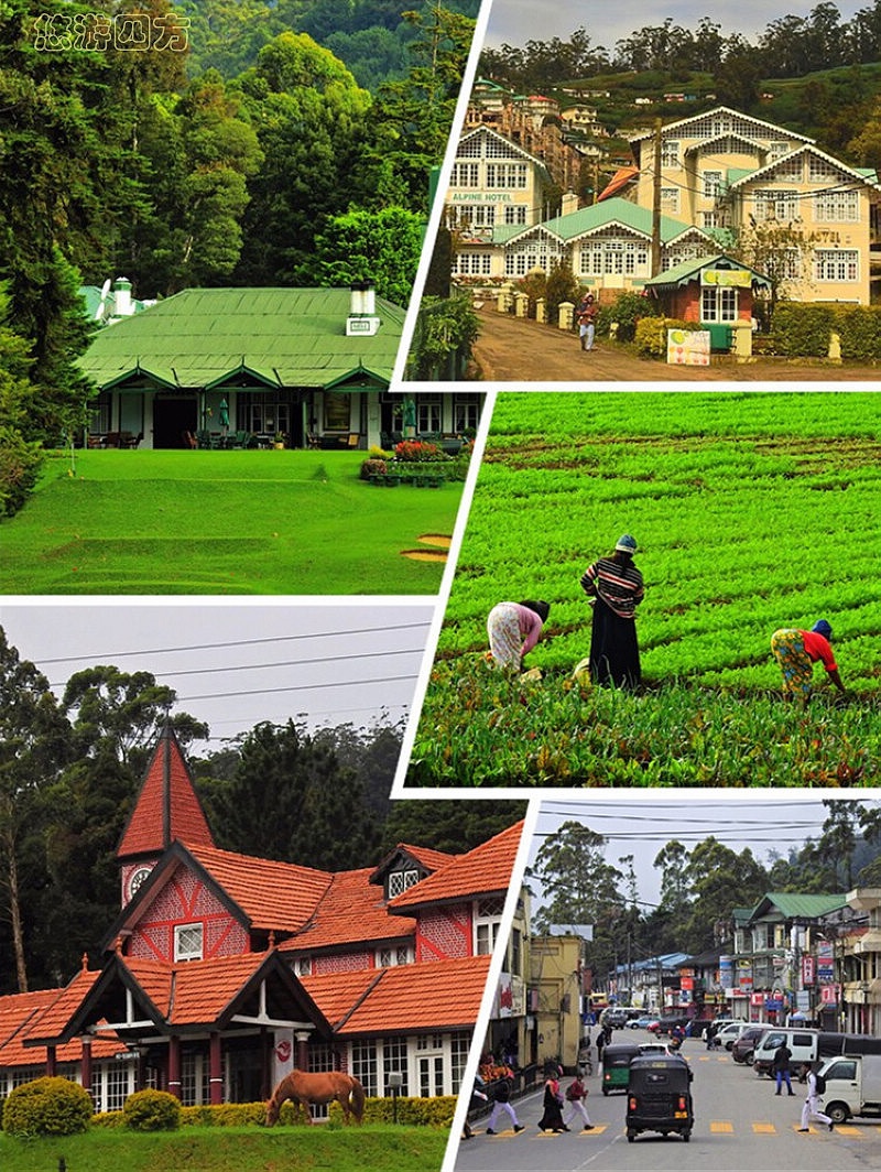 印度洋岛国上的小英格兰，浓浓英伦风，凉爽避暑地！