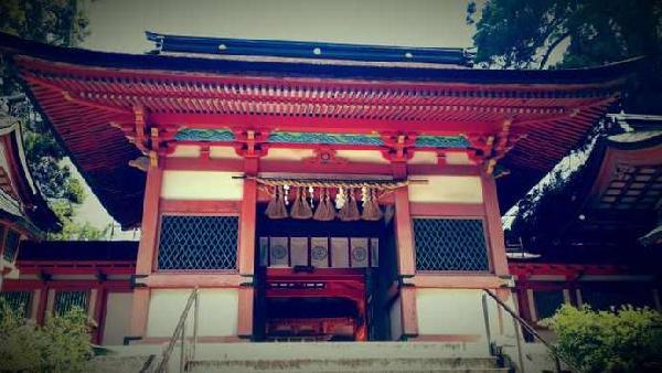 日本福冈自由行签证费用,日本福冈旅游景点攻略