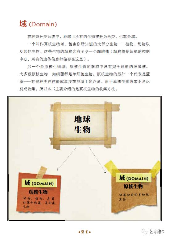 大英博物馆柜子,大英博物馆家具是什么