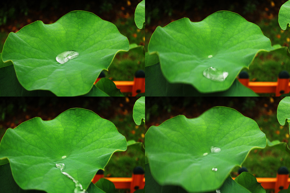 深圳壹捷sonax镀晶,超疏水荷叶自洁,找到你的爱”漆”方式