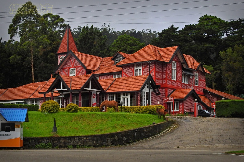 印度洋岛国上的小英格兰，浓浓英伦风，凉爽避暑地！