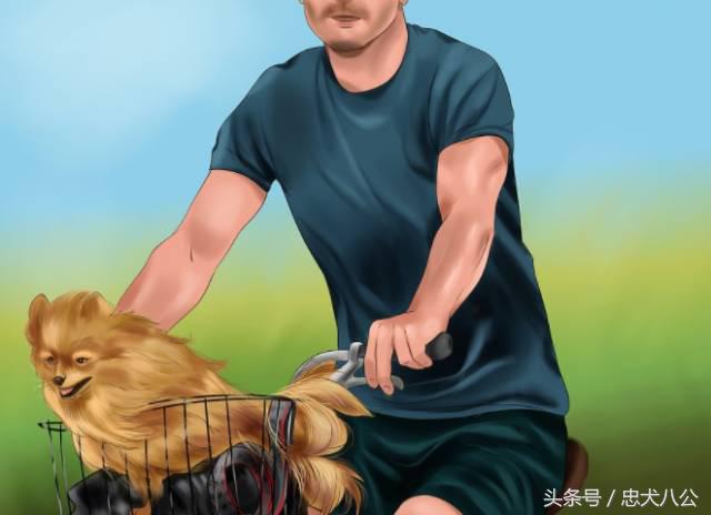 训练狗狗看其他狗不激动,训练狗狗眼睛看着我