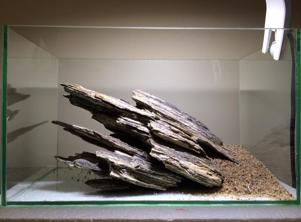 小型圆形草缸开缸过程,草缸开缸第一天要不要开过滤