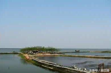 愁屋,愁屋是什么意思