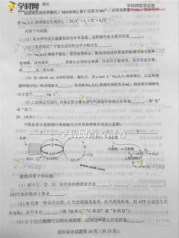 2017全国二卷理综物理,2020高考全国卷2理综化学