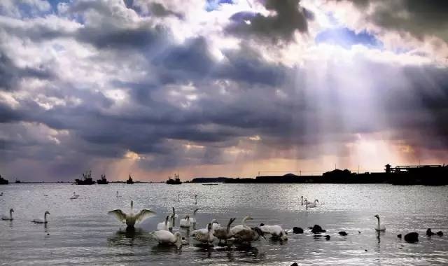 探寻山东古村落青岛8处古村落,青岛西海岸周边最美古村