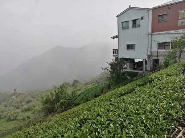 取经|跟随全国十佳农民探访台湾精致农业