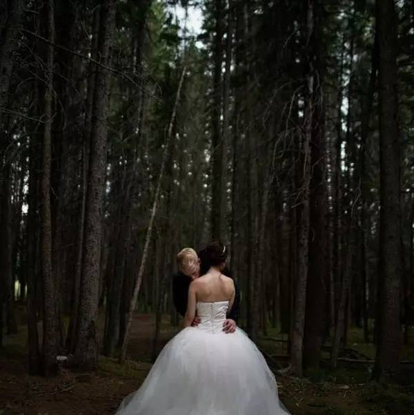 风景这边独好mtv,风景这边独好云南